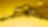 Shell oils and lubricants