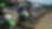 Motos de motocross alineadas al inicio de una carrera
